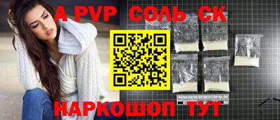 индика Новодвинск