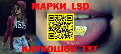 индика Новодвинск