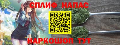 индика Новодвинск