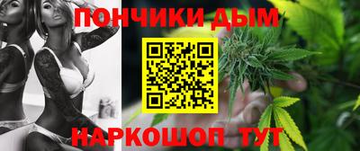 индика Новодвинск
