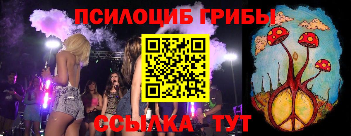Псилоцибиновые грибы Psilocybe Пушкино